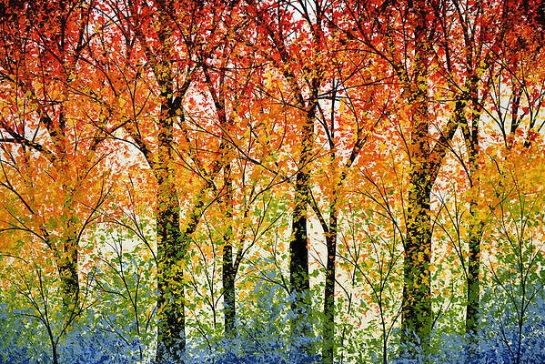 Painting of several colourful trees