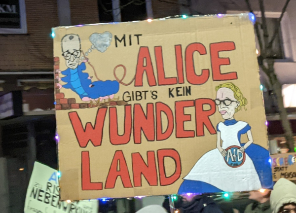 Gemaltes Demo-Schild mit der Aufschrift "Mit Alice gibt's kein Wunderland"