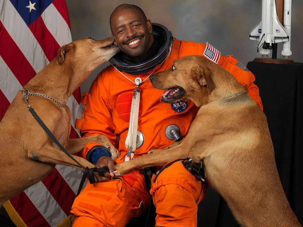 A man in a bright orange astronaut space suit sitting for an official portrait is given a lot of affection by his two large dogs. 