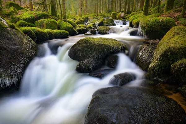 Zu sehen ist ein kleiner Wasserfall mit Kaskaden, die sich um bemooste Steine schlängeln, die mit Eiszapfen behangen sind.
Das Bild wurde als Langzeitaufnahme angefertigt.