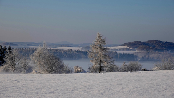 Ein weites, verschneites Feld im Vordergrund. Dahinter erstreckt sich eine Landschaft mit bewaldeten Hügeln, die teilweise von Nebel verhüllt sind. Einzelne Bäume und Sträucher im Vordergrund sind mit Schnee bedeckt. Am Horizont sind schemenhaft Berge zu erkennen. Der Himmel ist hellblau