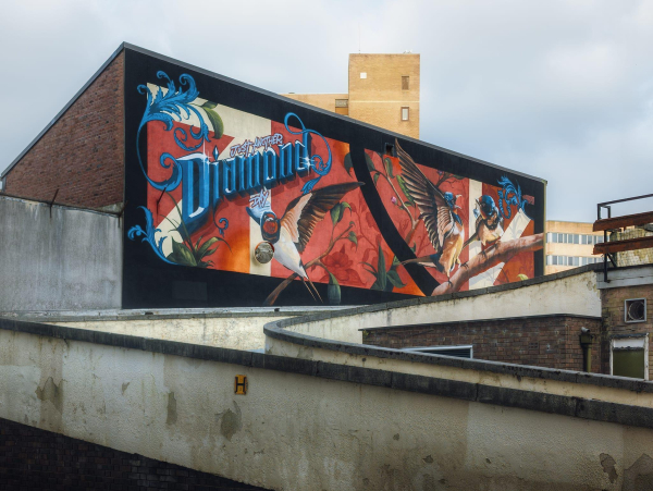 A vibrant mural on a building in Preston, featuring the phrase "Just Another Diamond Day" in bold, stylised lettering. The mural is adorned with intricate designs, including colourful birds perched on branches and decorative floral motifs against a backdrop of warm, rich colours. The composition captures a dynamic contrast between the lively artwork and the more utilitarian elements of the surrounding architecture, including a sloped surface and a concrete structure in the foreground. The cloudy sky above adds a moody atmosphere to the scene, enhancing the visual impact of the mural.
