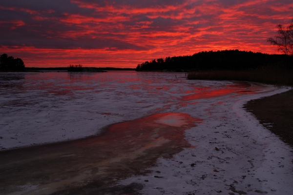 En vy över en vik med is i solnedgången. Himlen glöder i rosarött på undersidan av molnen som speglar sig i de blanka fläckarna på isen. Vid horisonten syns skogen på andra sidan vattnet  och där emellan en liten ö med några träd i mitten. Till vänster syns skogen och även till höger. 