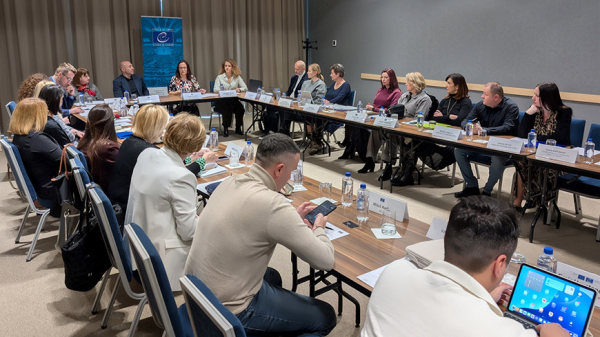 Strengthening Monitoring and Reporting on Freedom of Expression and Information in Bosnia and Herzegovina