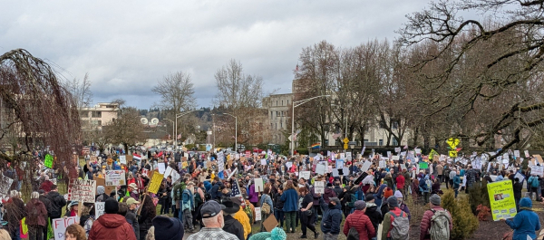 picture of a dense crowd of Washingtonians with protest signs, on the Capitol grounds.