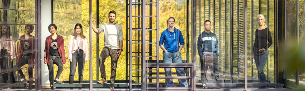 The new Max Planck Postdoc Program follows a clear structure: from application and onboarding to career workshops for further career planning. It adresses young scientists.