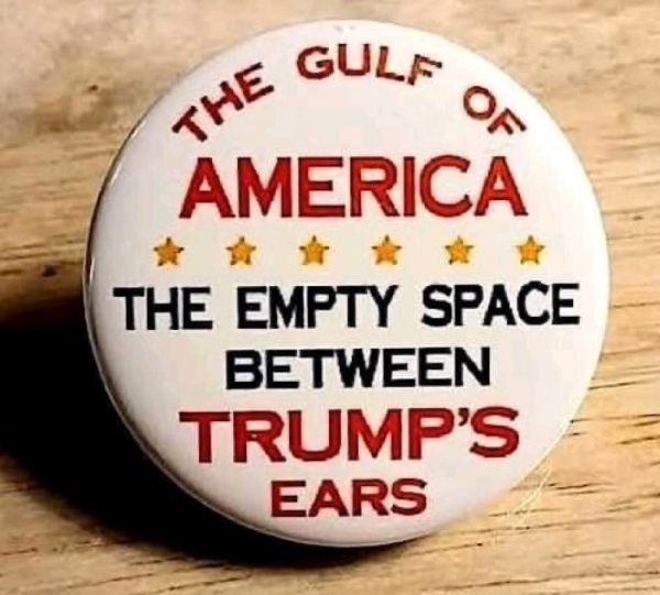 Photo of a pin-on button.
Text on the button is: "The Gulf of America.The empty space between Trump's ears."