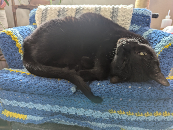 Charlie the black cat in an anatomically impossible position on the crochet cat couch. His head is upside down and he has one eye closed.