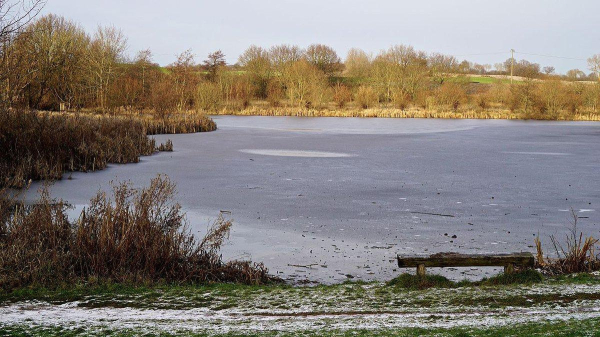 Eine weitläufige Fläche mit gefrorenem Wasser, die von flachen Ufern mit schilfartigen Pflanzen umgeben ist. Im Hintergrund sind einige Bäume sichtbar, die in einer natürlichen Landschaft stehen. Auf der linken Seite befindet sich eine Holzbank, die am Ufer steht. Der Himmel ist klar und das Licht ist hell.