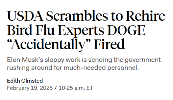 Headline: 
USDA Scrambles to Rehire Bird Flu Experts DOGE “Accidentally” Fired

Elon Musk’s sloppy work is sending the government rushing around for much-needed personnel.

by Edith Olmsted
February 19, 2025 / 10:25 a.m. ET