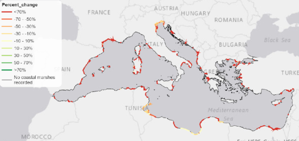 Spatial distribution of modelled changes of Mediterranean coastal marsh areas between 2020 and 2100 for a medium climate scenario (SSP2-4.5). Coastal management scenario where wetland inland migration is highly constrained (population density threshold of 5 people km−2)