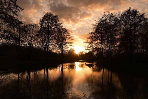 Ein Landschaftsbild bei Sonnenuntergang. Im Vordergrund befindet sich ein ruhiger Fluss oder See, in dem sich das Licht des Himmels spiegelt. Die Ufer sind von silhouettenhaften Bäumen gesäumt, deren Äste sich gegen den Himmel abzeichnen. Der Himmel selbst ist in warmen Farben von Orange, Gelb und Rosa getaucht, die durch die Wolken scheinen und eine friedliche, fast mystische Atmosphäre erzeugen.