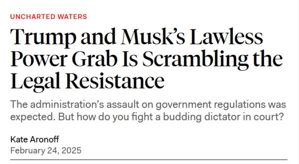 Headline: Uncharted Waters
Trump and Musk’s Lawless Power Grab Is Scrambling the Legal Resistance

The administration’s assault on government regulations was expected. But how do you fight a budding dictator in court?

Kate Aronoff
February 24, 2025