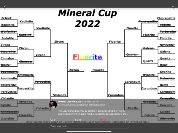 Mineral Cup 2022 bracket. Fluorite is the winner!