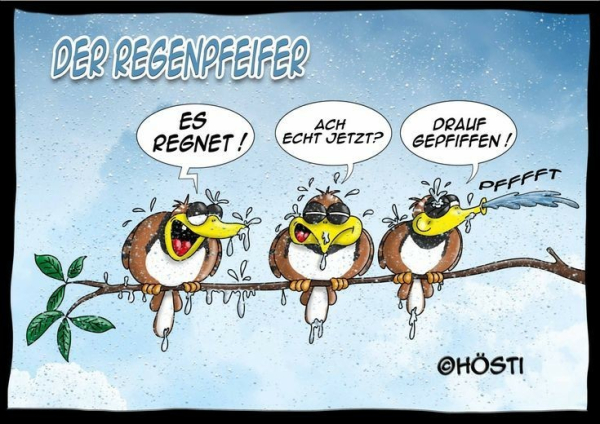 Das Bild ist eine humorvolle Comic-Zeichnung von drei Vögeln, die auf einem Ast sitzen. Sie sind nass und tragen Sonnenbrillen. Der Himmel im Hintergrund ist blau mit Regentropfen.

Der Titel „DER REGENPFEIFER“ ist oben im Bild zu sehen. Die Vögel sprechen in Sprechblasen:

Der erste sagt: „ES REGNET!“

Der zweite fragt: „ACH ECHT JETZT?“

Der dritte antwortet lässig: „DRAUF GEPFIFFEN!“ und pfeift dabei Wasser zur Seite.

Das Bild spielt mit dem Wortspiel „Regenpfeifer“, einer Vogelart, und der Redewendung „drauf gepfiffen“, was so viel bedeutet wie „ist mir egal“. 
Es stammt vom Künstler Hösti.

