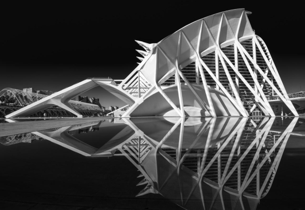 Vista lateral del museo de las ciencias reflejado en el agua. Gracias al reflejo, las columnas y la forma del edificio hacen que se cree una figura que asemeja un pez con una cabeza enirme y un cuerpo pequeño, todo atravesado por líneas blancas (las columnas y sus reflejos). Blanco y negro.