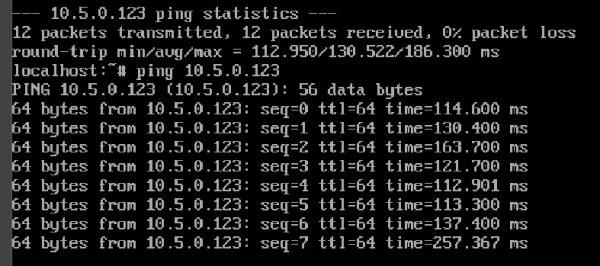 Screenshot of "ping" running in Alpine Linux inside WebXDC