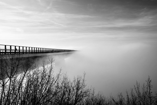 Schwarz-weiß-Aufnahme einer Autobahnbrücke, die von links über das vor dem Betrachter liegende nebelige Tal führt. Im Vordergrund sind Straücher zu sehen.