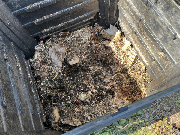 The inside of a black plastic composter. It’s partially composted, but some cardboard remains. 