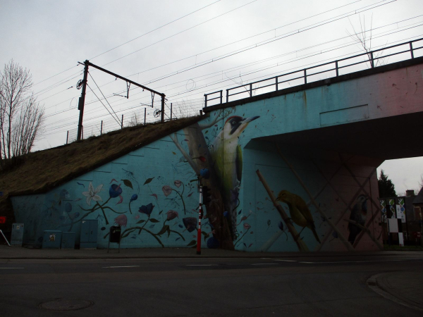 Décoration murale utilisant des peintures d'oiseaux sur un pont de la ligne 139 Leuven - Ottignies qui passe en hauteur.

Wall decoration using bird paintings on the walls of a bridge of railway line 139 Leuven - Ottignies passing above.