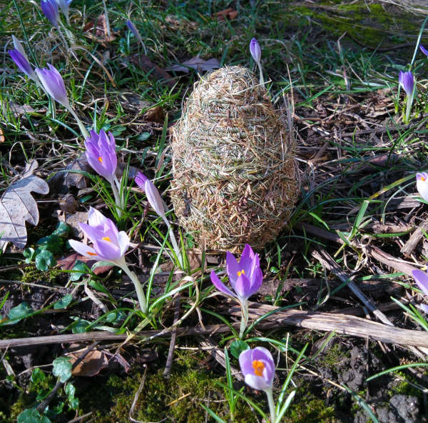 Auf einer grünen Wiese mit violetten Krokussen steht ein Stehaufmännchen in Eiform, etwa 13cm groß. Es besteht aus zwei Teilen, einem runden, schweren Bauch und einem leichten, hohlen Hut. Die Figur ist aus Gras hergestellt.