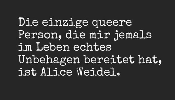 Die einzige queere Person, die mir jemals im Leben echtes Unbehagen bereitet hat, ist Alice Weidel.