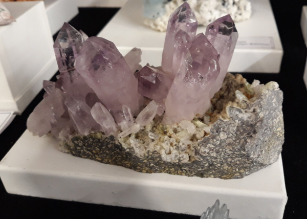 Several crystals of pale purple amethyst rising out of a groundmass. The crystals are hexagonal prisms with pointed pyramidal tips.