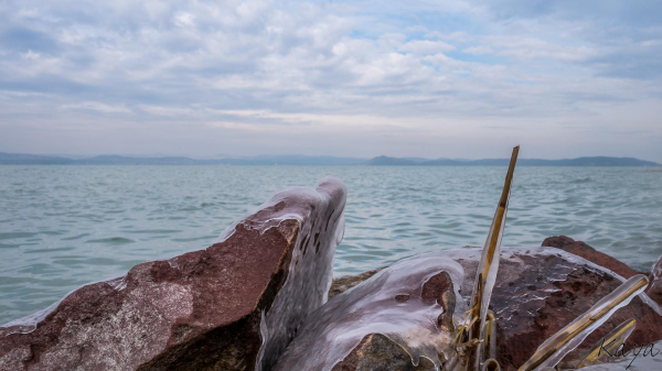 Blick aufs Wasser, vom Ufer aus. Direkt am Ufer überfrorene Steine und Schilfstängel.