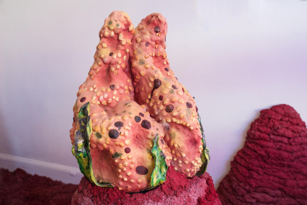 Semi-abstract sculpture resembling a large fruit or pod, with a textured pink and yellow surface and green leaves along the base, placed over red dirt or clay.