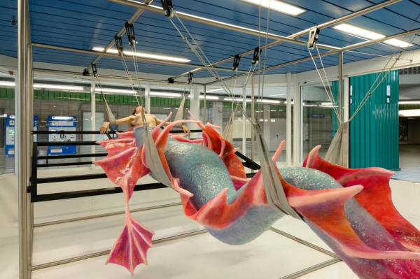 Performance piece with the artist lying in a clinical setting, her body suspended from the ceiling by metal attachments. Her torso is connected to a long, realistic fish/mermaid-like lower body with blue-green scales and large red-pink fins.