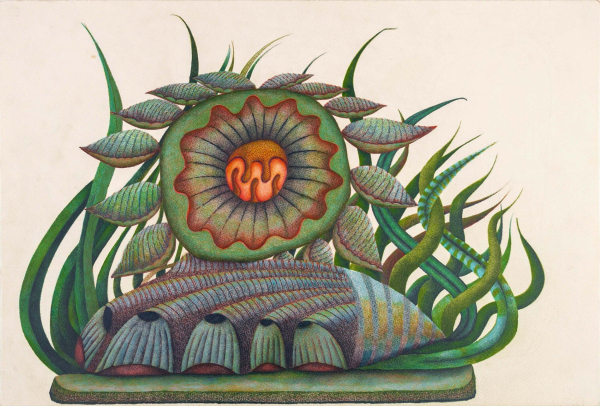 Drawing in a red-orange, blue, and green palette of a surreal plant form with various tendrils rising upward around a large bloom with pointed leaves coming out in a circle, all against a white background.