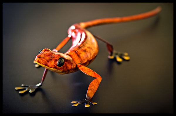 A bright orange metal gecko, purchased a long time ago at a flea market, looks up at the camera from a dark countertop in the kitchen. He seems to be expecting something tasty.

I can empathize.