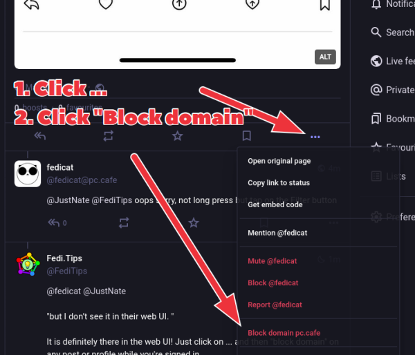 Screenshot from Mastodon showing the web interface and the location of the block domain option in the options menu of a post.