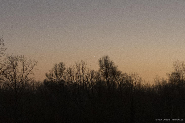 Crop from a photo with the river and the stars, showing only the weak dot of Mercury next to the branches of trees.