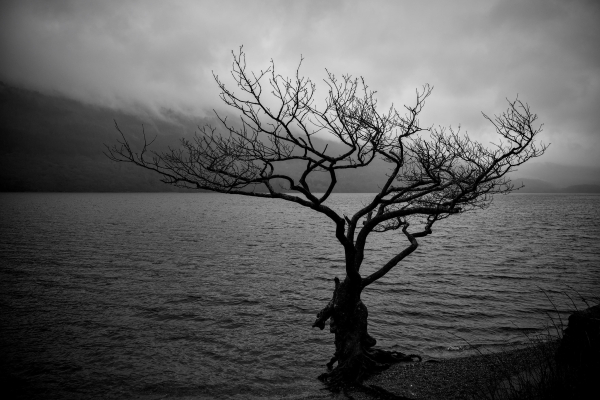 Black and white landscape format image showing a desolate scene of a tree standing at the water's edge on Loch Lomond with dark, brooding skies and mountains in the distance 