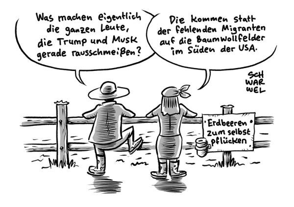 Ein Mann und eine Frau in bäuerlicher Kleidung lehnen an einem Zaun und schauen auf ein Feld. Er: „Was machen eigentlich die ganzen Leute, die Trump und Musk gerade rausschmeißen?“ Sie: „Die kommen statt der fehlenden Migranten auf die Baumwollfelder im Süden der USA.“ Am Zaun hängt ein Schild mit einer kleinen Geldbüchse mit Schlitz: „Erdbeeren zum selbst pflücken“ (Credit: Schwarwel)