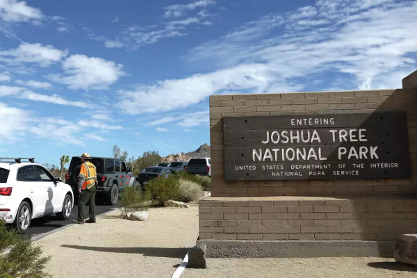 A National Park Service park ranger assists a driver while helping direct traffic from backing up into the adjacent community at an entrance to Joshua Tree National Park on Feb. 19, 2025: