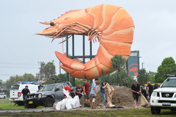 Filling sandbags beside the Big Prawn ahead of cyclonic conditions in Ballina.