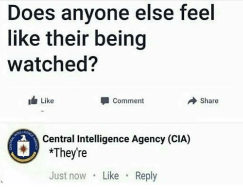 Social media post: "Does anyone else feel like their being watched?"

Reply from CIA official account:
" *They're "