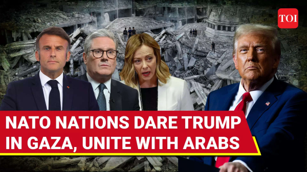 NATO Nations Take Fight Against Trump To New Level; Back Arab Plan For Gaza Opposed By US, Israel