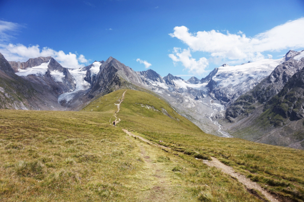 Landschaftsaufnahme, im Vordergrund grüne Wiesen, im Hintergrund vergletscherte Berge