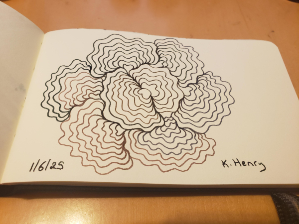 Hand drawn generative procedural art in ink on an open page of my sketchbook. The abstract pattern is inspired by turkey tail mushrooms.