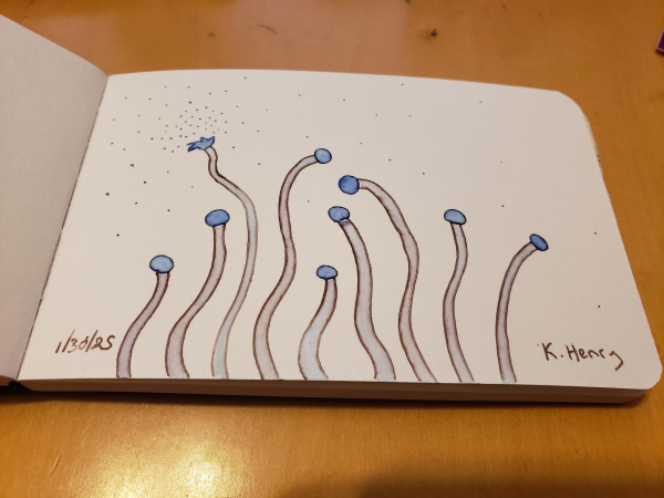 Hand drawn generative/procedural art in ink on an open page of my sketchbook. The abstract pattern looks a bit like tiny fungi. 