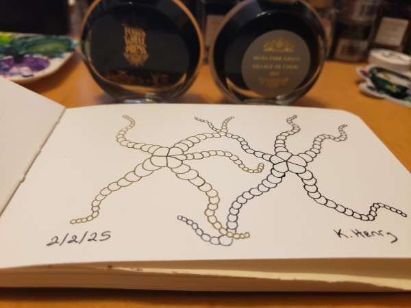 Hand drawn generative/procedural art in ink on an open page of my sketchbook. The abstract pattern looks a bit like two dancing starfish. There are bottles of ink in the background.