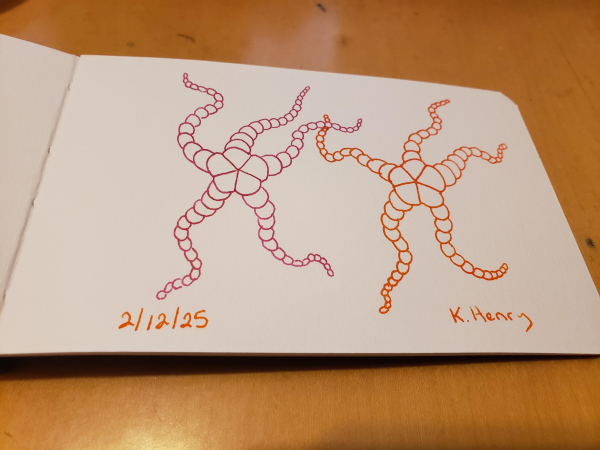 Hand drawn generative/procedural art in ink on an open page of my sketchbook. The abstract pattern looks a bit like two dancing starfish.