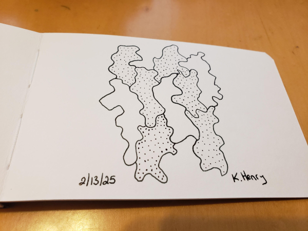 Hand drawn generative/procedural art in ink on an open page of my sketchbook. The abstract pattern looks a bit like the tree bark after a storm.