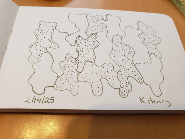 Hand drawn generative/procedural art in ink on an open page of my sketchbook. The abstract pattern looks a bit like tree bark.