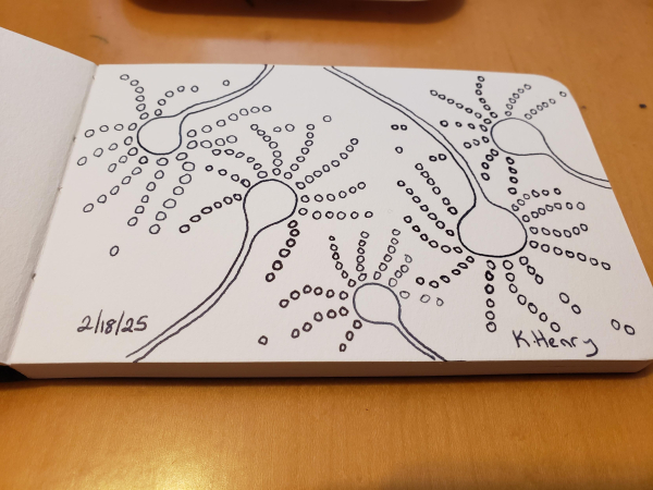 Hand drawn generative/procedural art in ink on an open page of my sketchbook. The abstract pattern looks a bit like a sample of Aspergillus on a microscope slide.