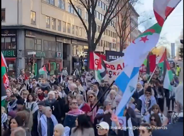 Huge crowd of protesters in the streets of Stockholm, carrying various flags and banners