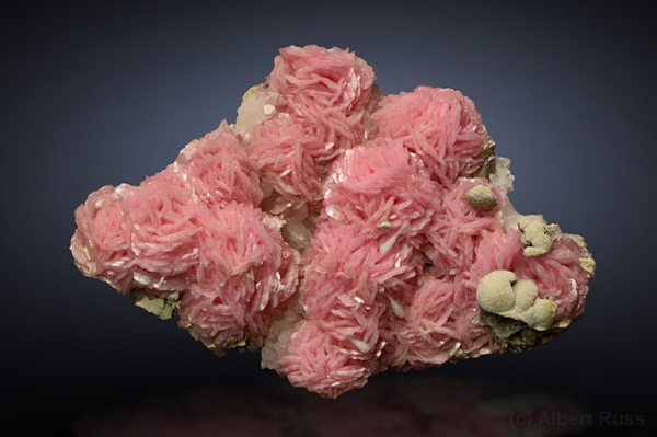 Photo of a rhodochrosite specimen from Romania. The pink crystals are clustered in a way that the specimen resembles a bouquet of pink roses.